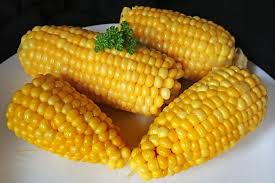 Corn ingredient for Biobased biodegradable plastics