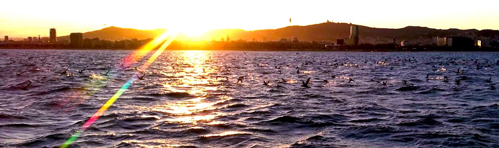 Sunset Barcelona coast line during sailing experience with Sailing Barcelona best boat tours 