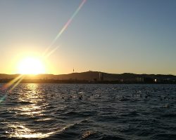 Catamaran Sunset Sail Boat Tour experience