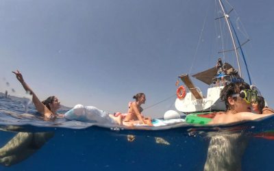 Únase a nuestra excursión en velero de 2,5 horas para pasar un divertido día en el agua, en Barcelona.